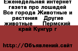 Еженедельная интернет - газета про лошадей - Все города Животные и растения » Другие животные   . Пермский край,Кунгур г.